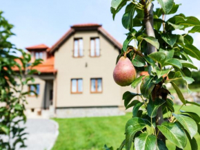 Villa in Bohemia with garden